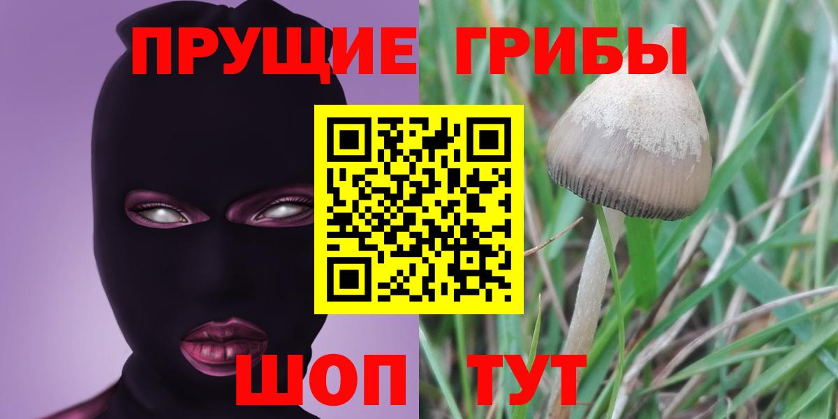 Галлюциногенные грибы Psilocybine cubensis  наркота  Гусиноозёрск  Вход с VPN 
